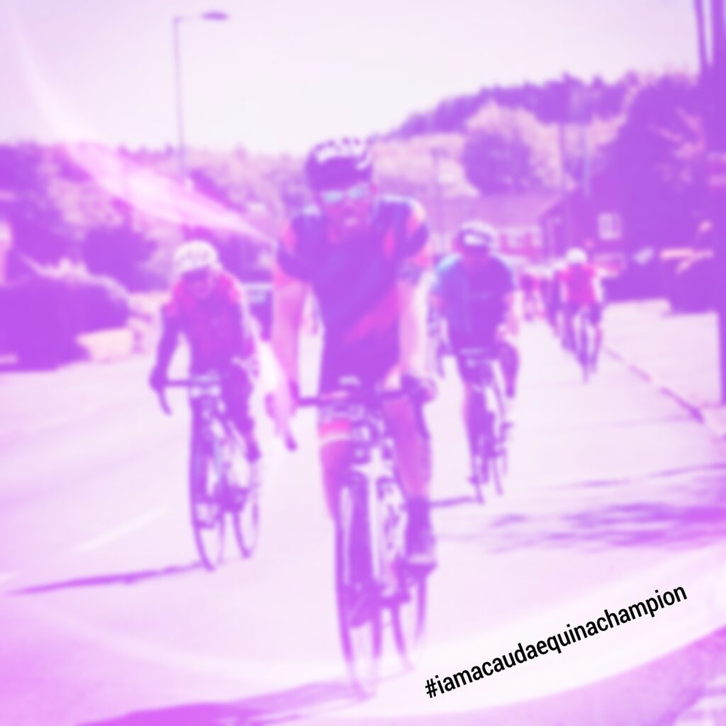 Cauda Equina Champion Howard