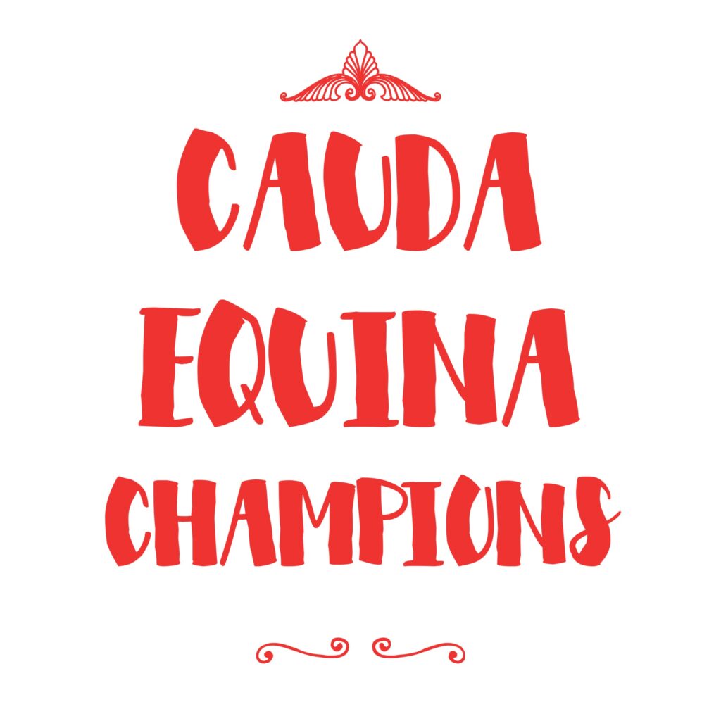 Cauda Equina Champion's Gallery