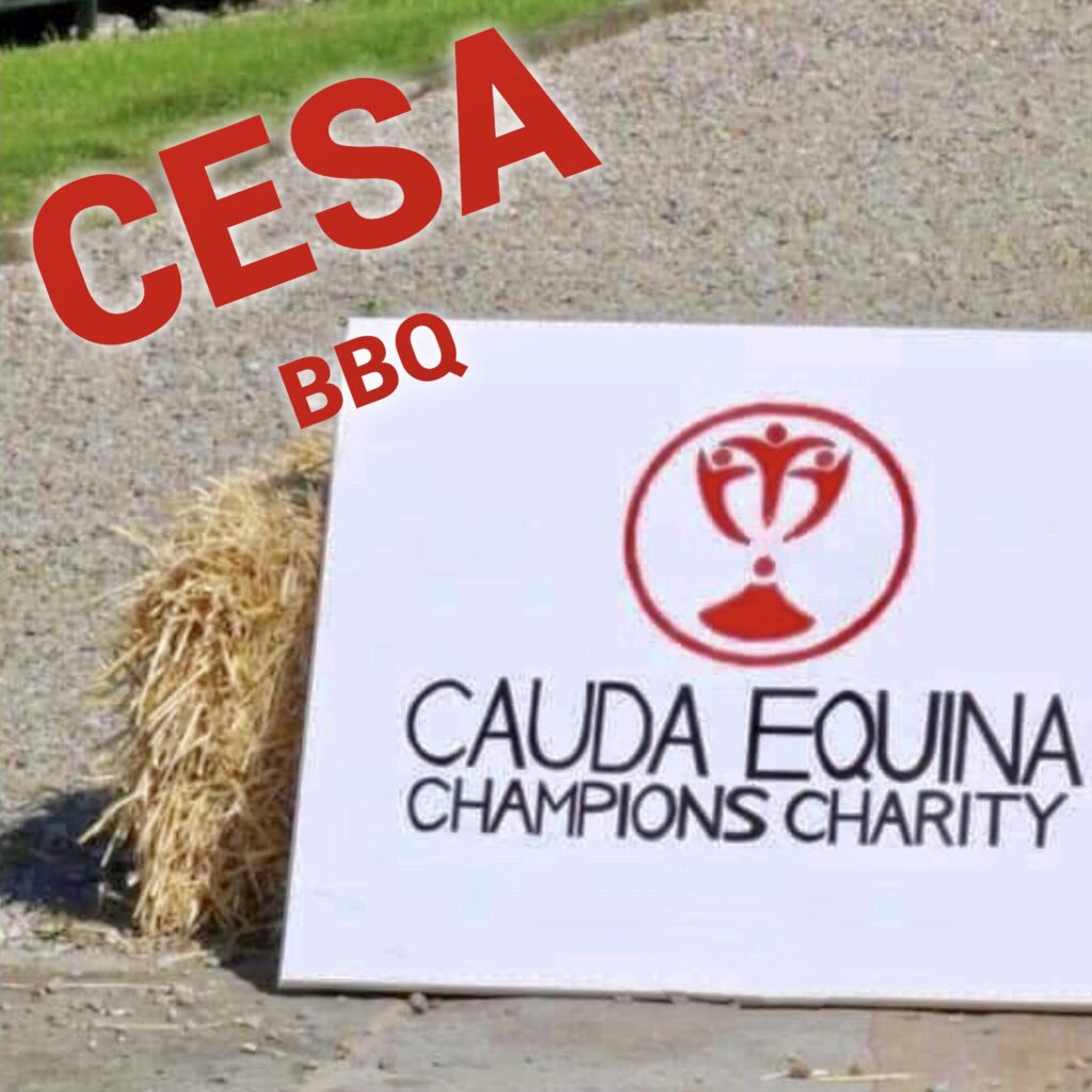 Our 1st Annual BBQ - August Bank Holiday