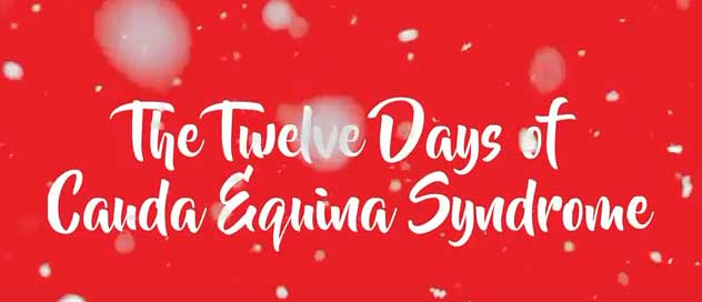 Twelve Days of Christmas