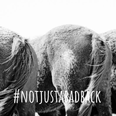 Subscribe to our new Podcast for all things CES ! #NOTJUSTABADBACK