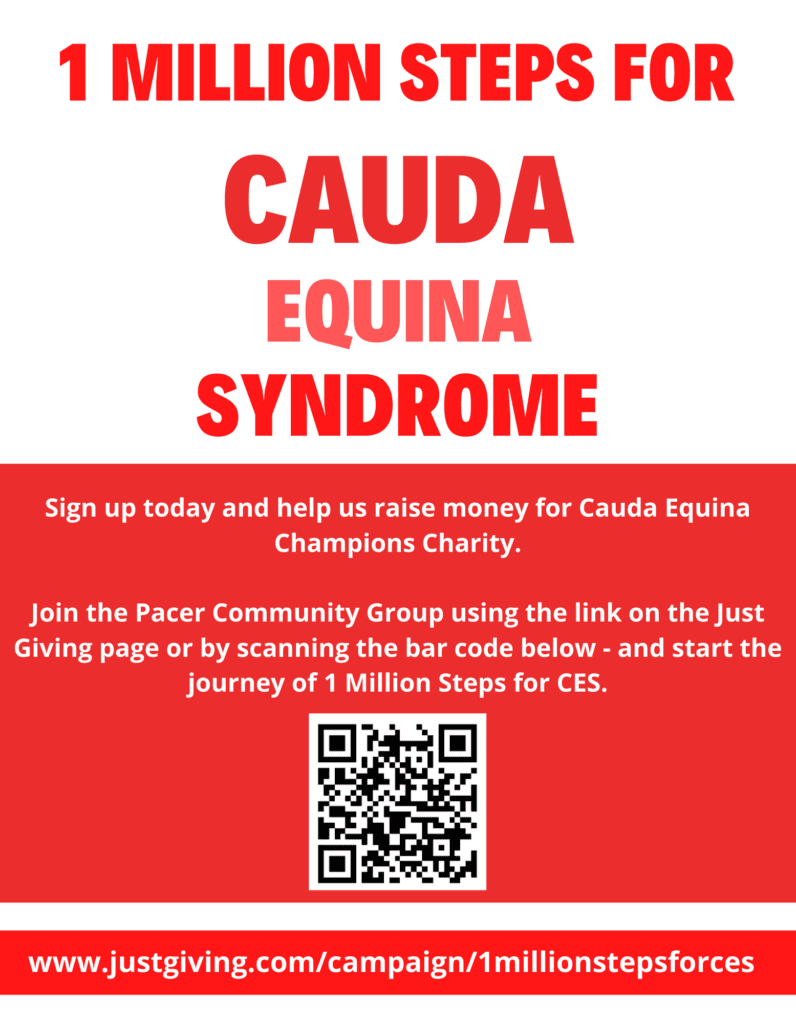 One Million Steps for CES Fundraiser