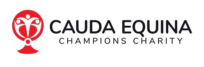 Champions Charity Home Delivery Service from Rapidcare